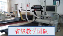 vsport体育指定入口图片