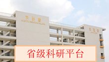 vsport体育核心通道图片