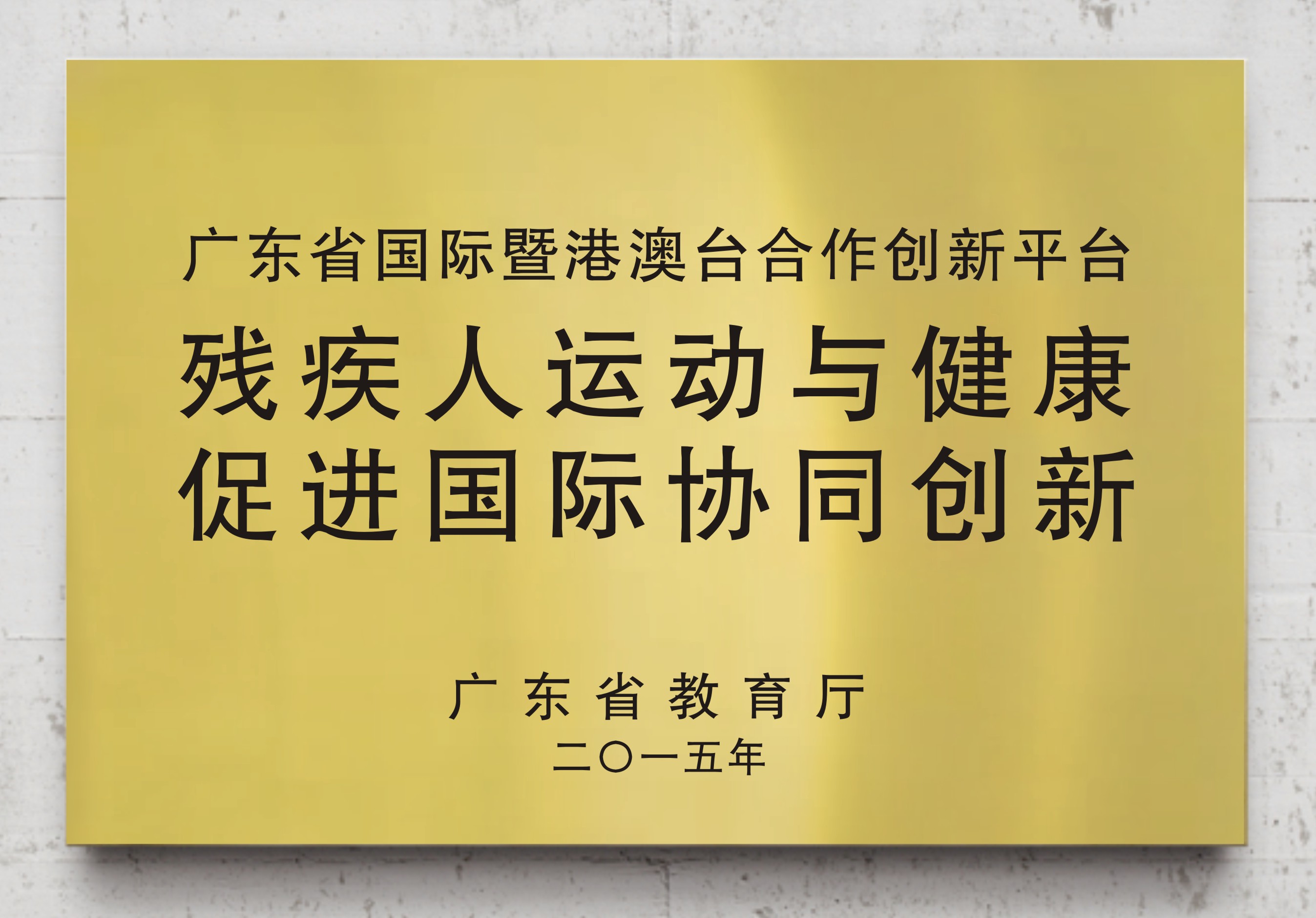 残疾人运动与健康促进国际协同创新